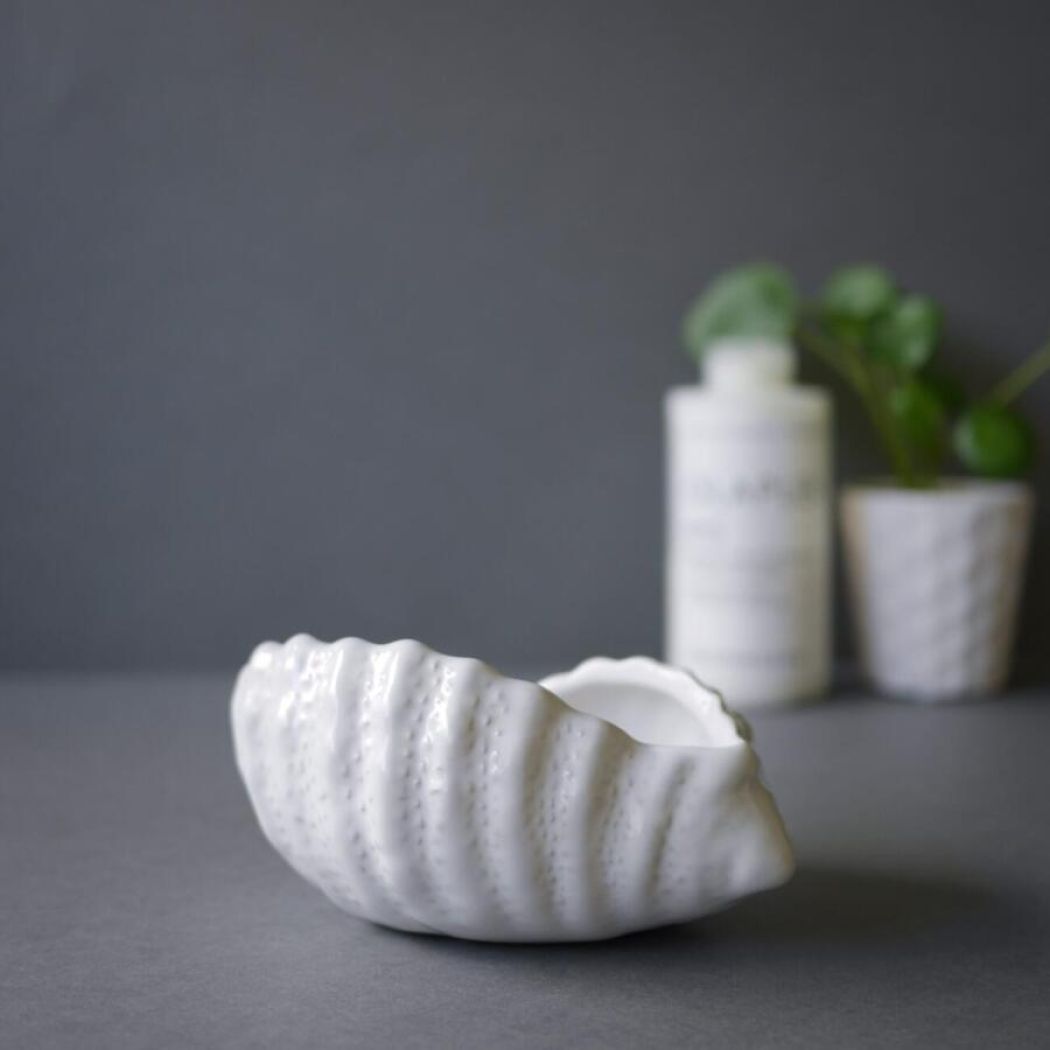 Porcelænskonkylie 1