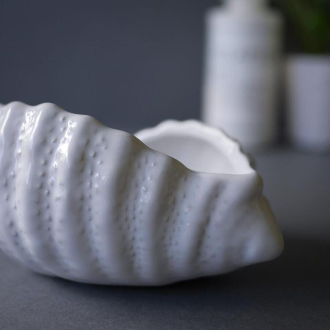 Porcelænskonkylie 3