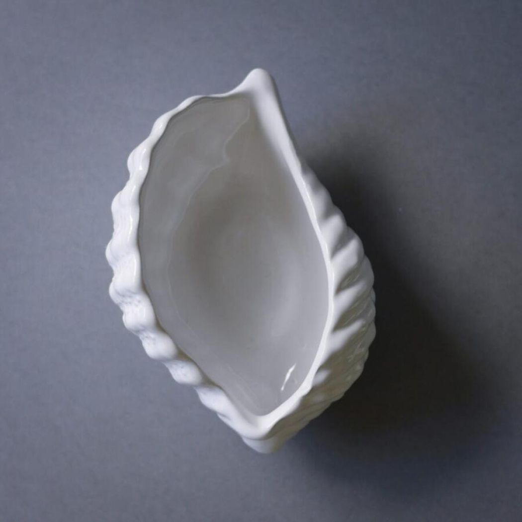 Porcelænskonkylie 2