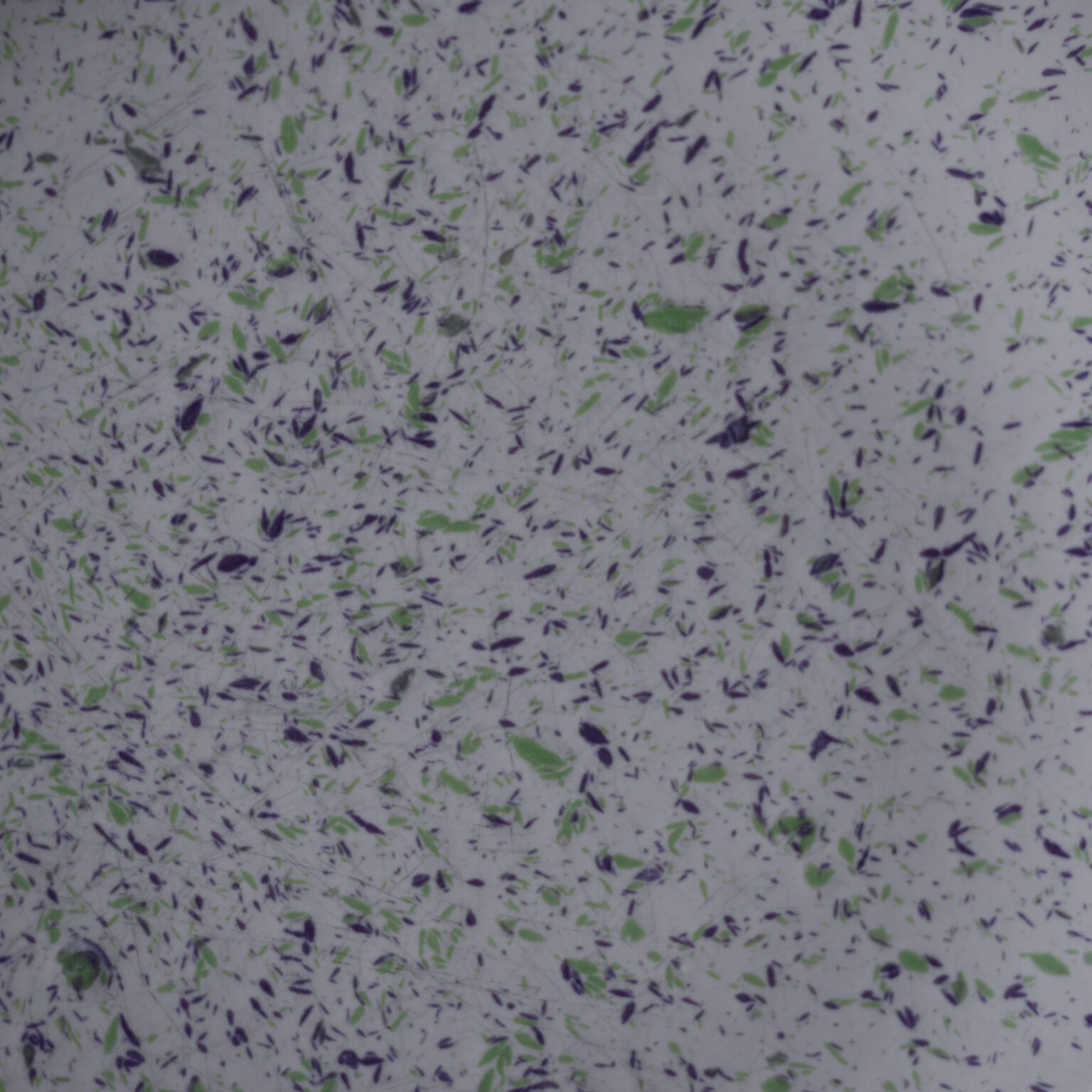 Multifarvede Confetti Tallerkner, 11 stk. 4