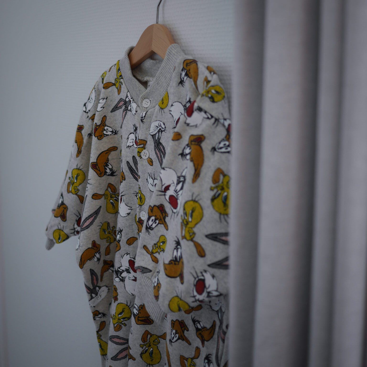 Looney Tunes Dragt 1