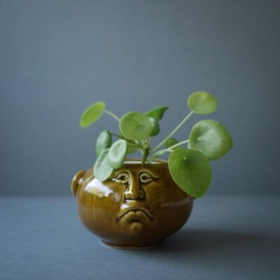 Blomsterkrukke med Ansigt