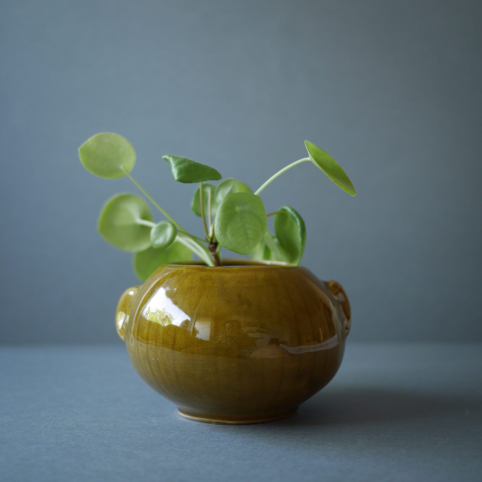 Blomsterkrukke med Ansigt 5