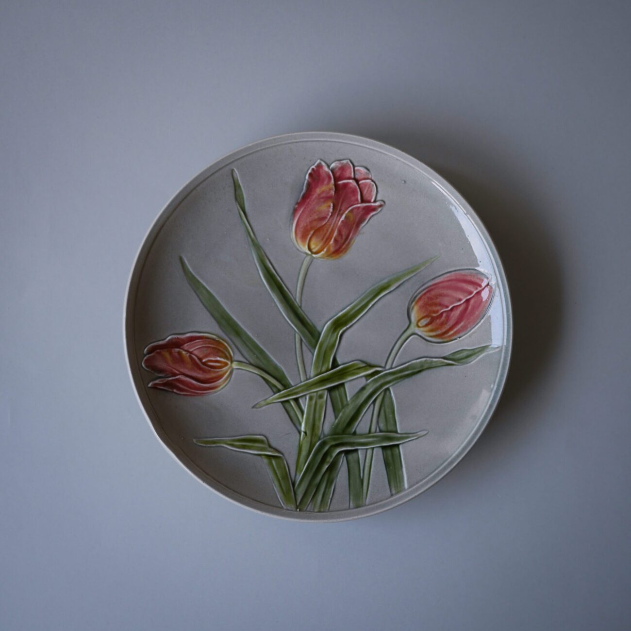 Tulipan Platte
