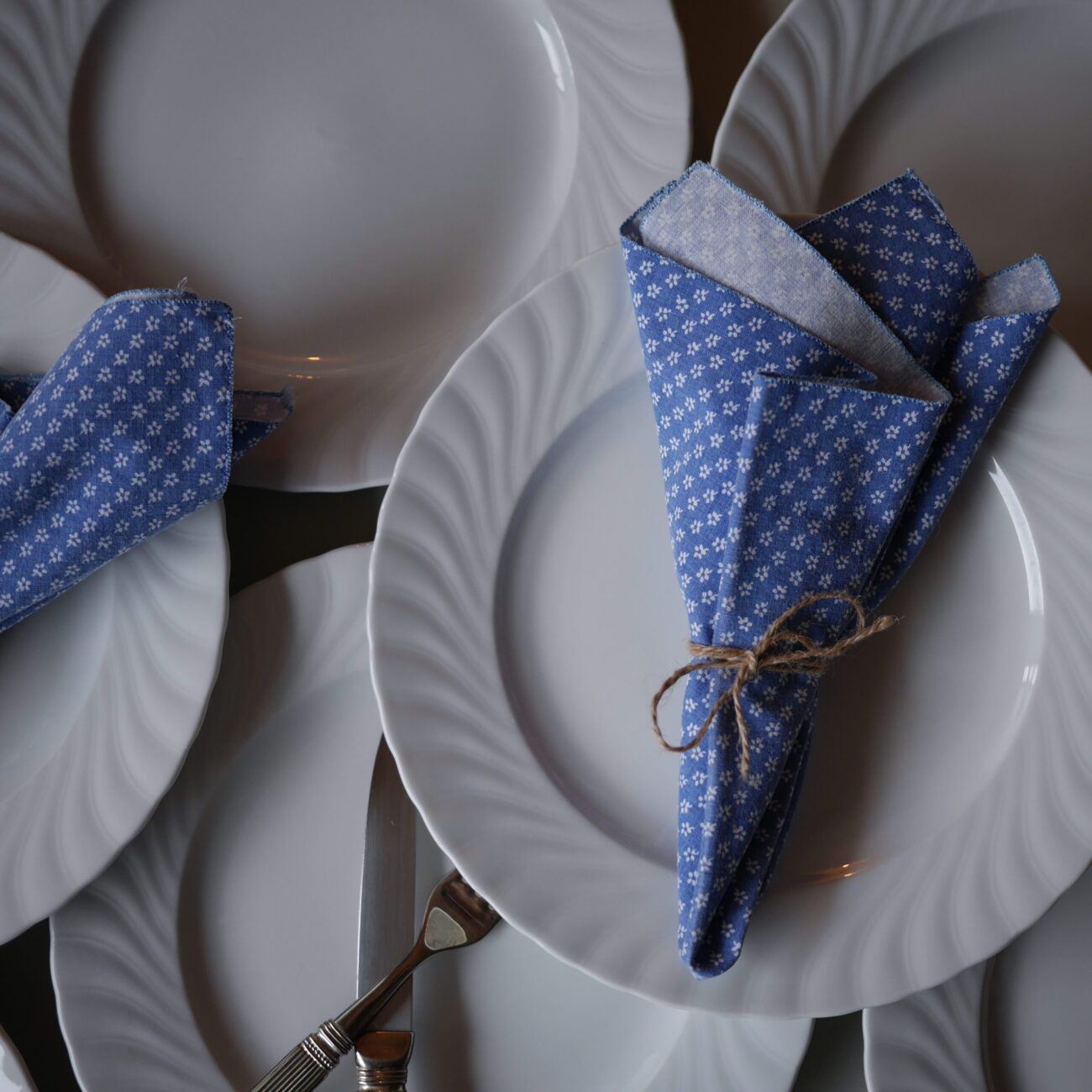 Hvide Middagstallerkner i porcelæn