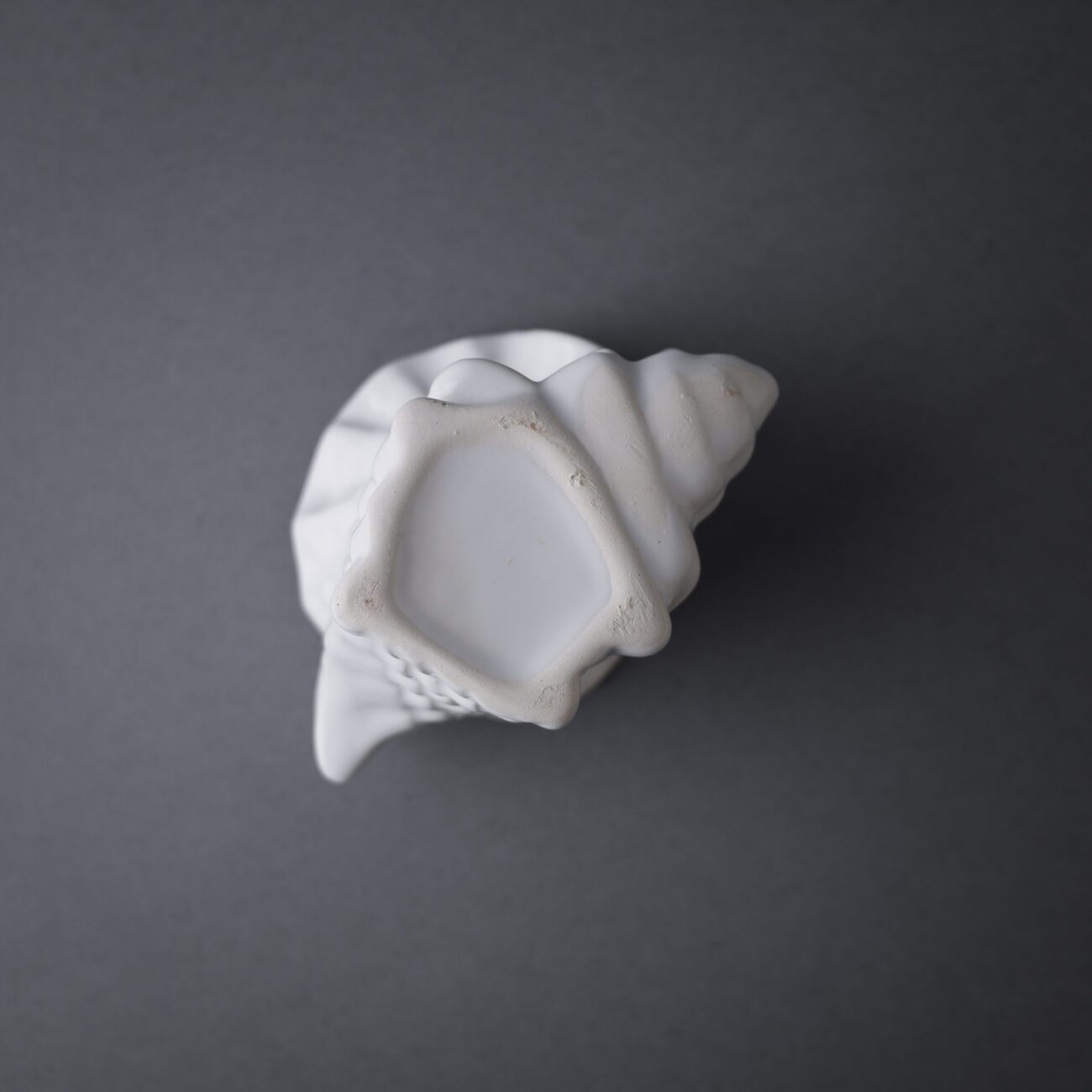 Lille Konkylie Krukke i Porcelæn 6