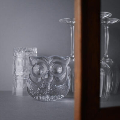 Charmerende Glas Ugle