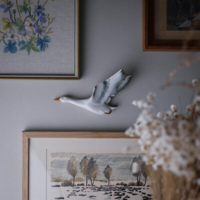 Flyvende Vægfugl
