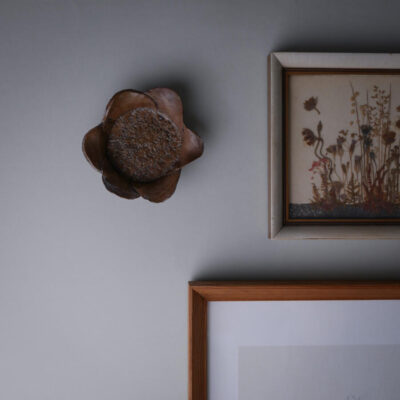 Lille Brun Solsikke til Væggen