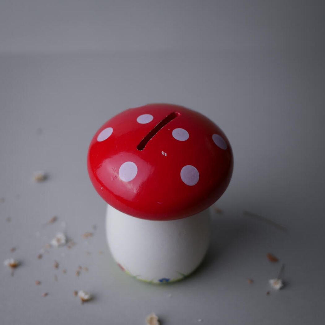 Lille Svampe Sparegris 1