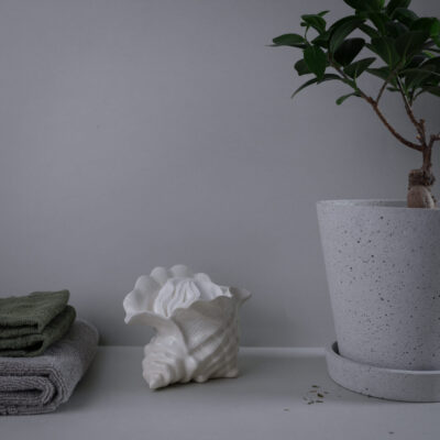 Hvid Konkylie Krukke til Sukkulent