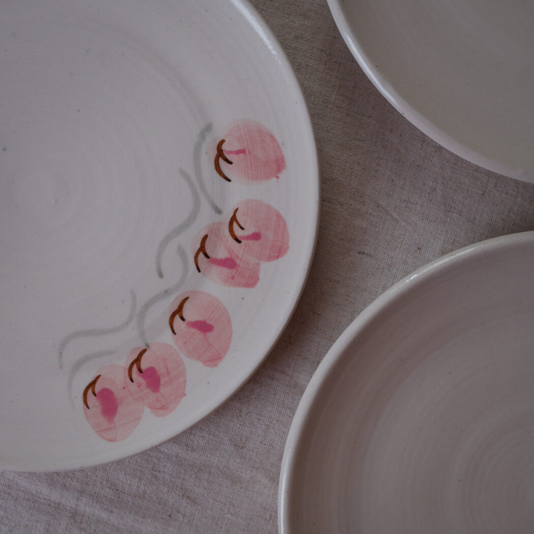 Hvide Keramiktallerkner med Lyserøde Blomster, 6 stk. 4
