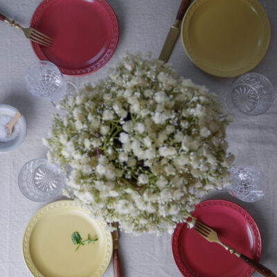 Røde & Gule Svaneholm Tallerkner, 7 stk.