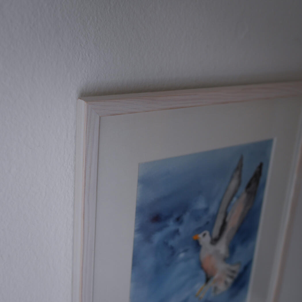 Akvarel Billede med Måge 5