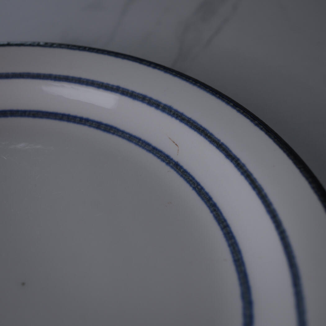 Close-up of a white ceramic plate with dark blue concentric rings along the rim.