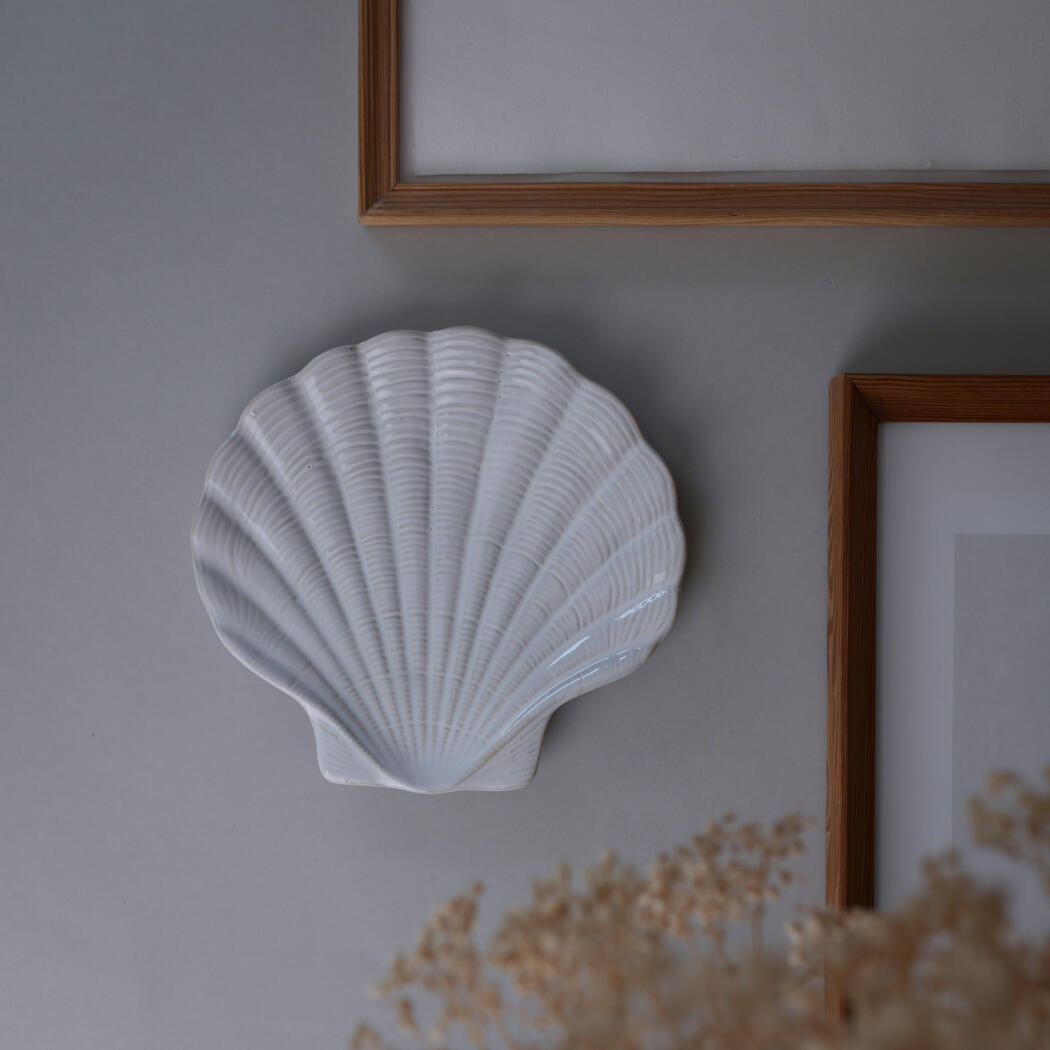 White scallop shell wall ornament mounted on a gray wall beside wooden frames.