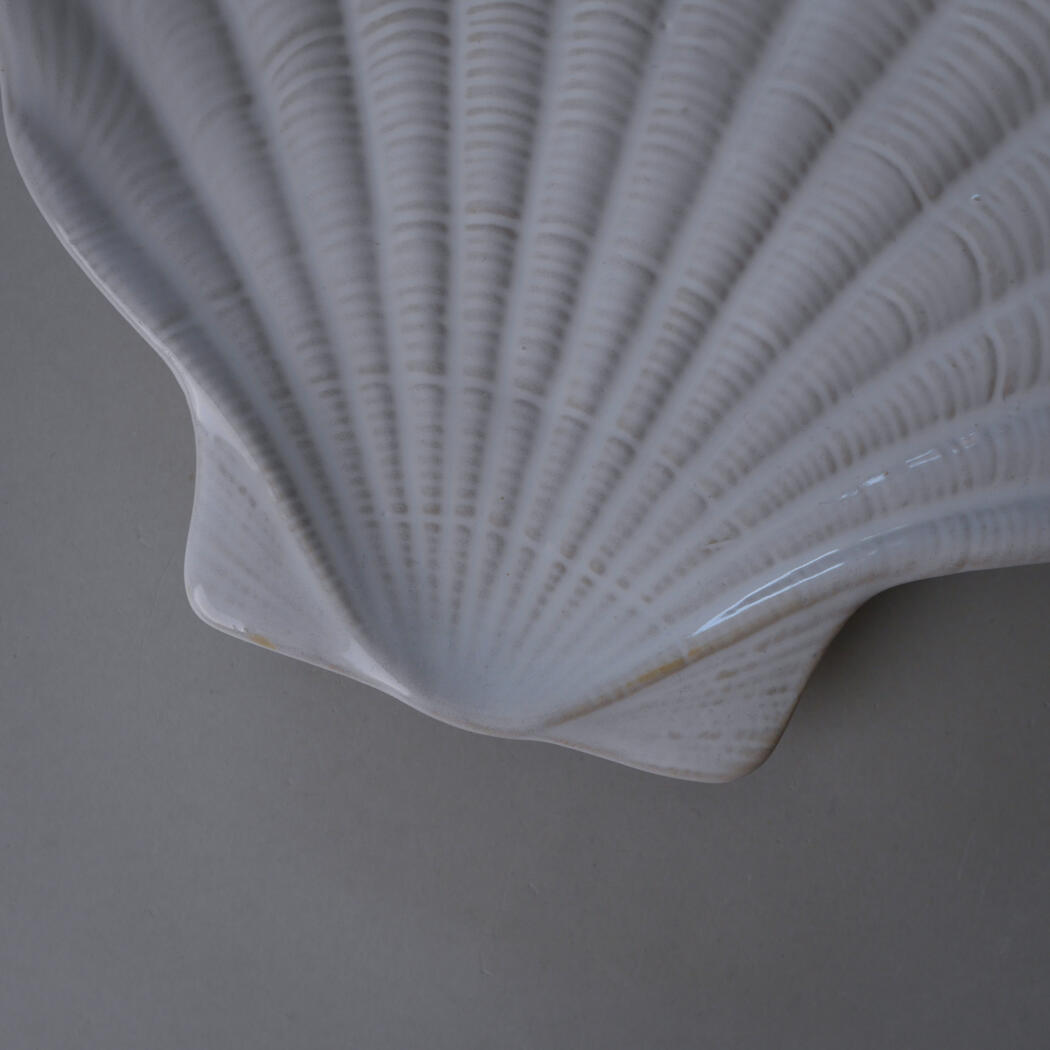 Close-up of a white scallop shell with ridged texture on a gray surface.