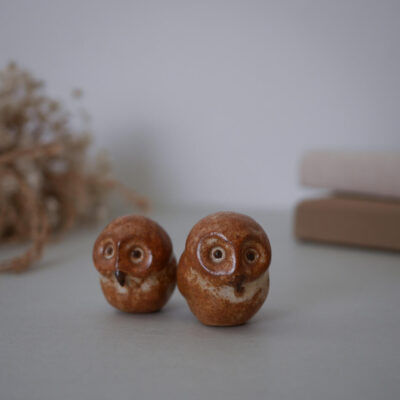Two small brown ceramic owls with large googly eyes on a light tabletop. A soft, neutral background sits behind them.