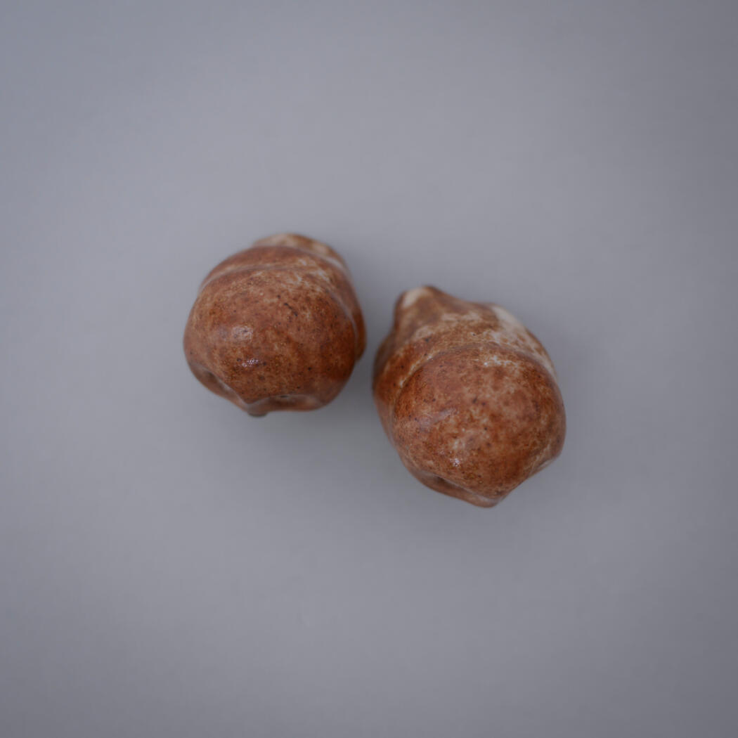 Two small brown, rounded objects placed on a light gray background, close together.