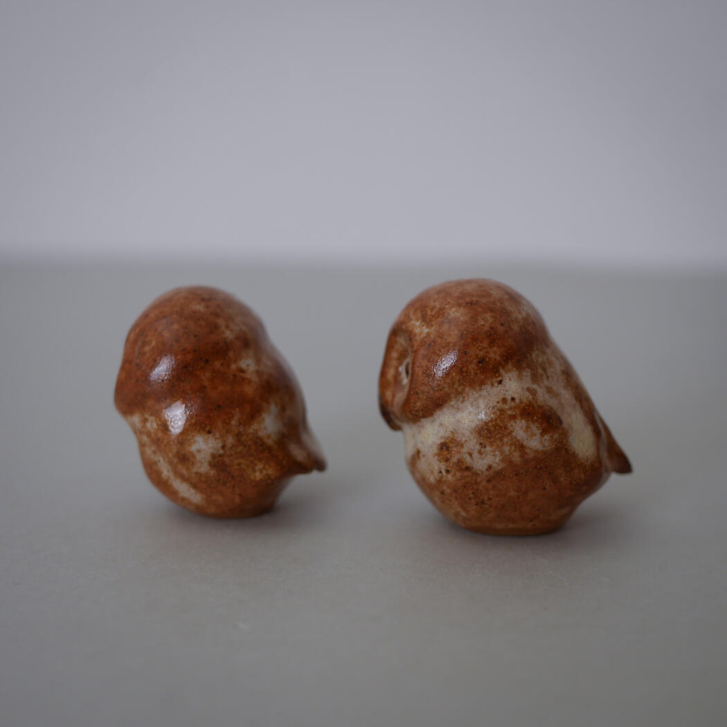 Two small brown rounded rocks with white patches on a gray surface.