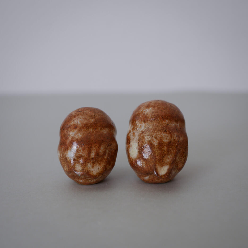 Two glossy, mottled brown beans standing side by side on a light gray surface.