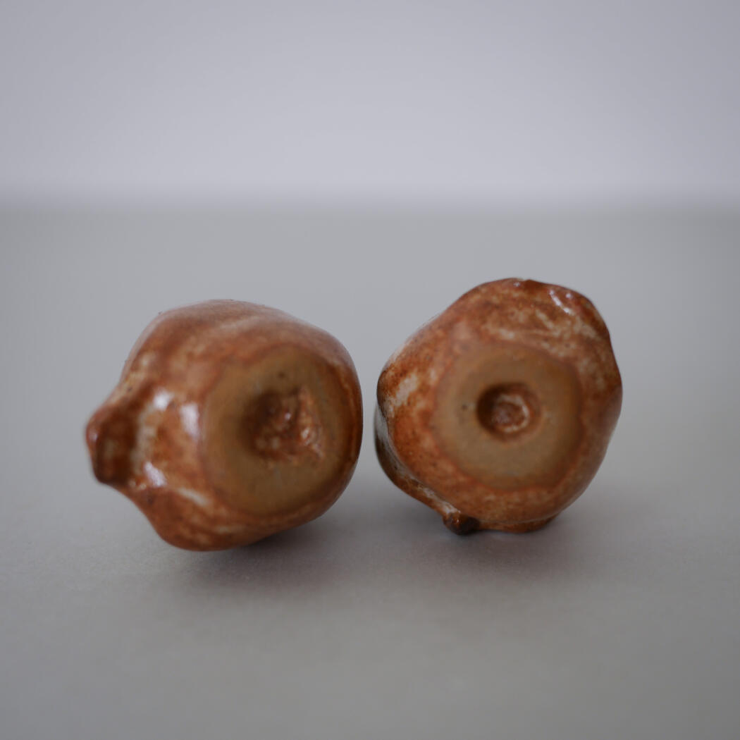 Two small brown seeds with hollow centers resting on a gray surface, viewed from the side.