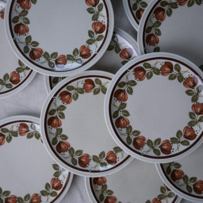 Stack of white ceramic plates with an orange pumpkin and green leaf border arranged in a cluster on a light surface.