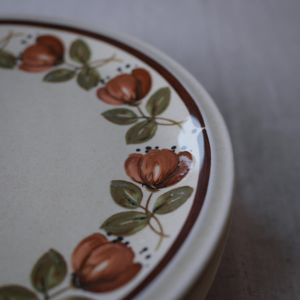 Close-up of a ceramic plate with a red rose border and green leaves along the edge, brown rim.