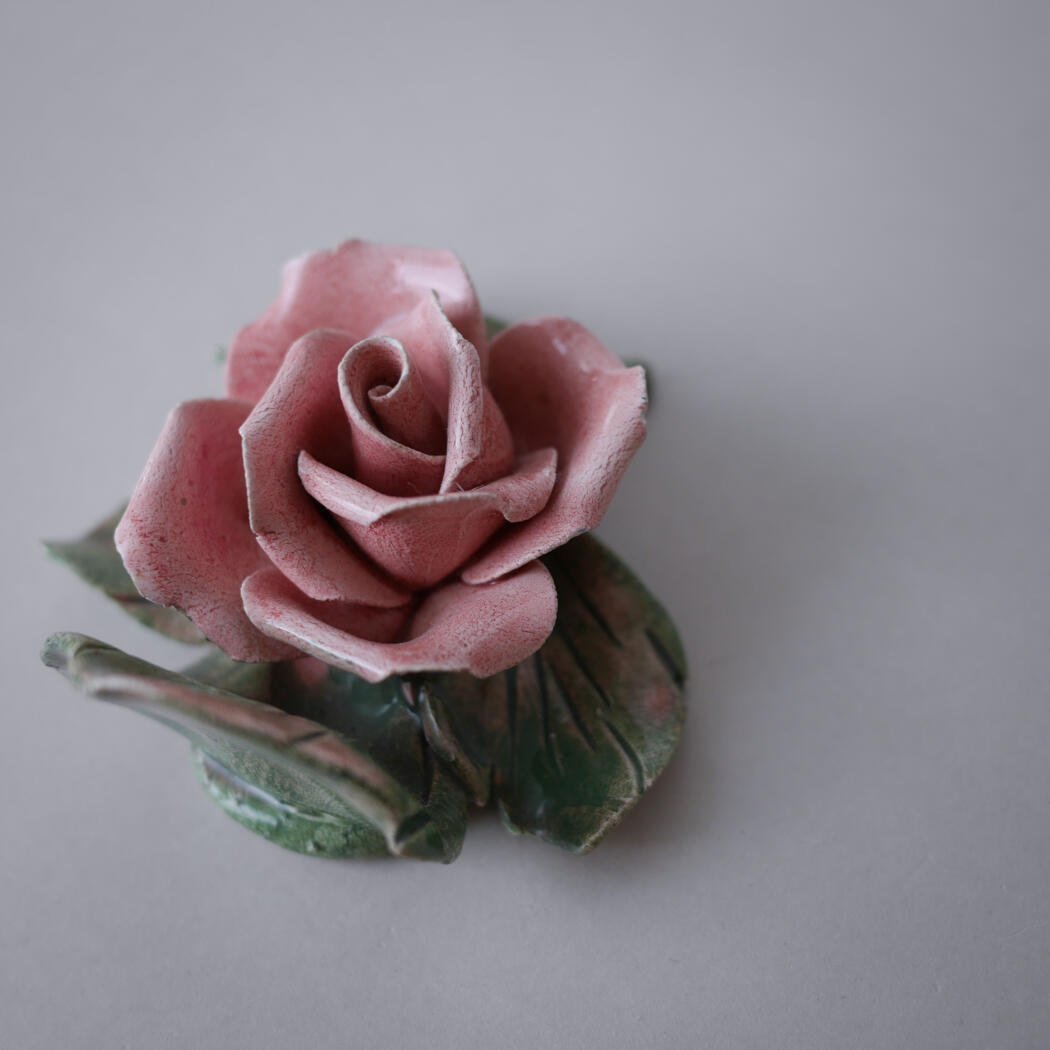 Lyserød Porcelænsrose til Væggen 2