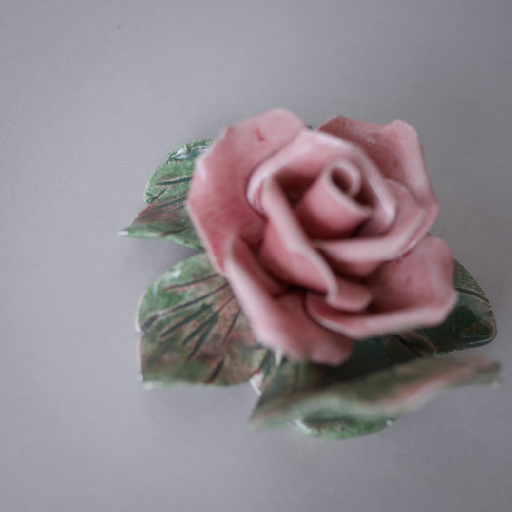 Lyserød Porcelænsrose til Væggen 3