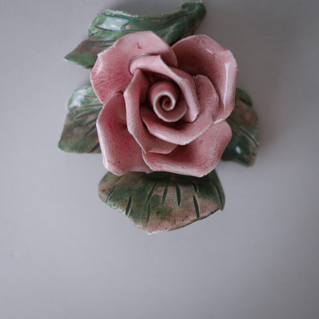 Lyserød Porcelænsrose til Væggen 4