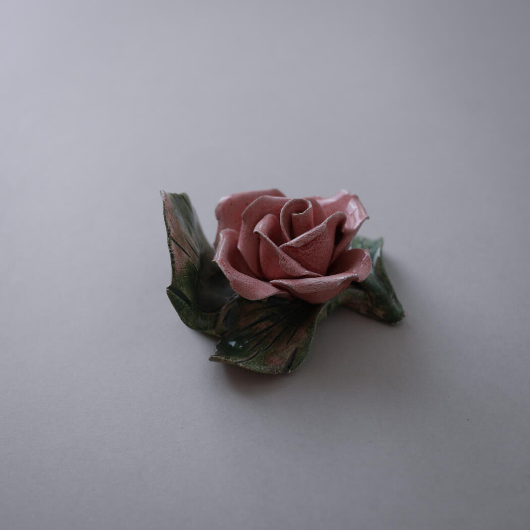 Lyserød Porcelænsrose til Væggen 5
