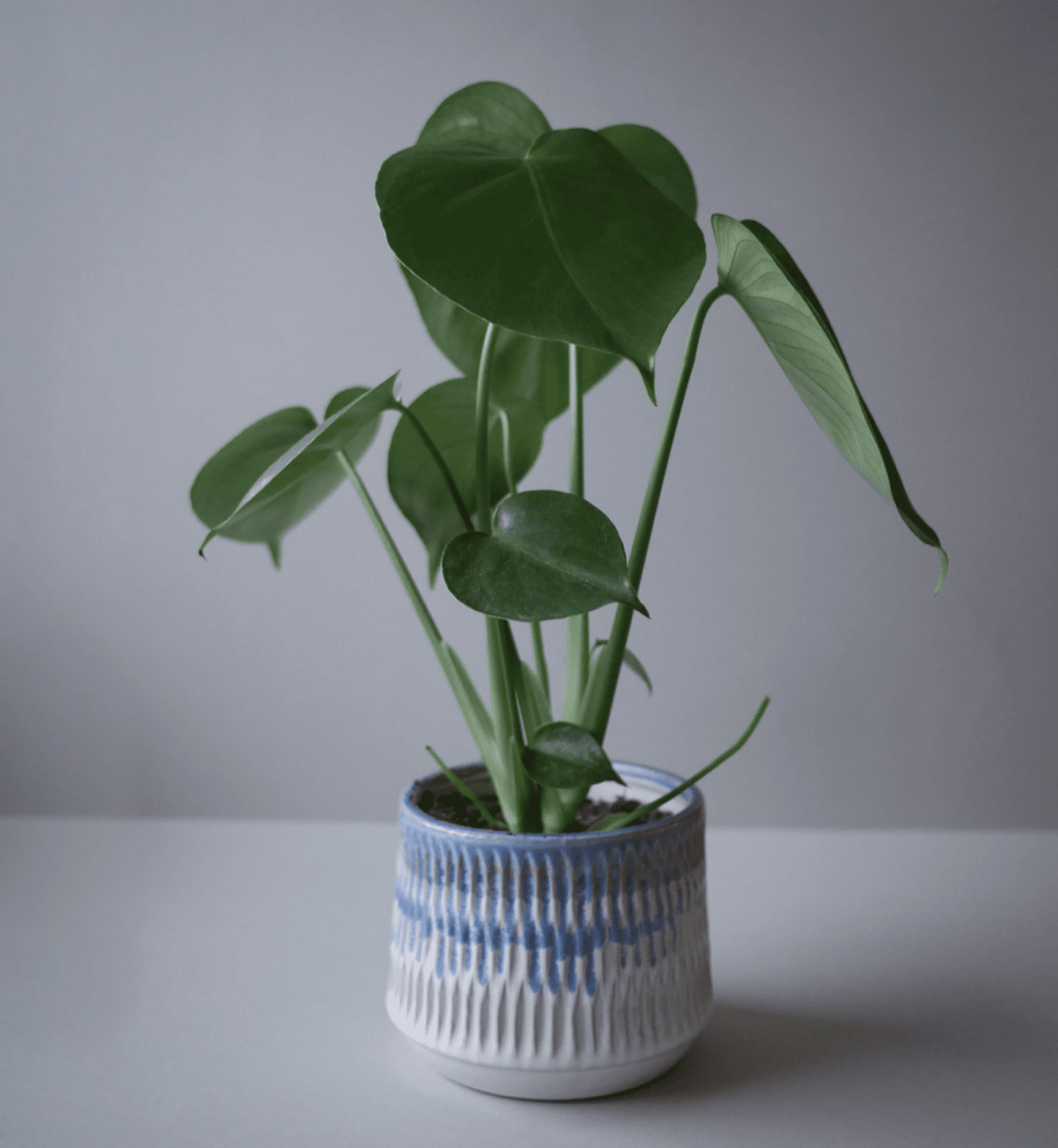 Blå blomsterkrukke 2