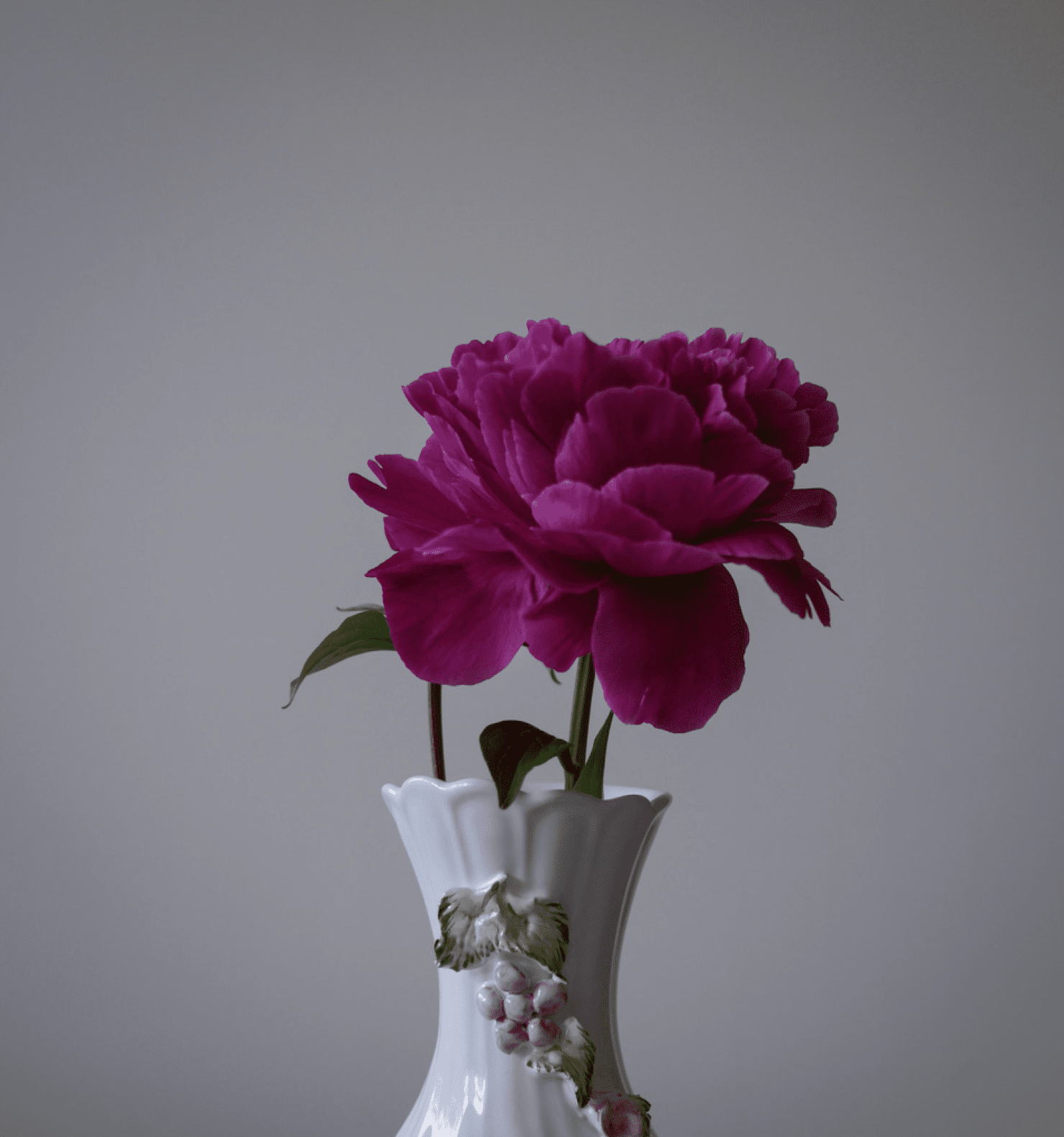 Hvid Vase med Bær 3