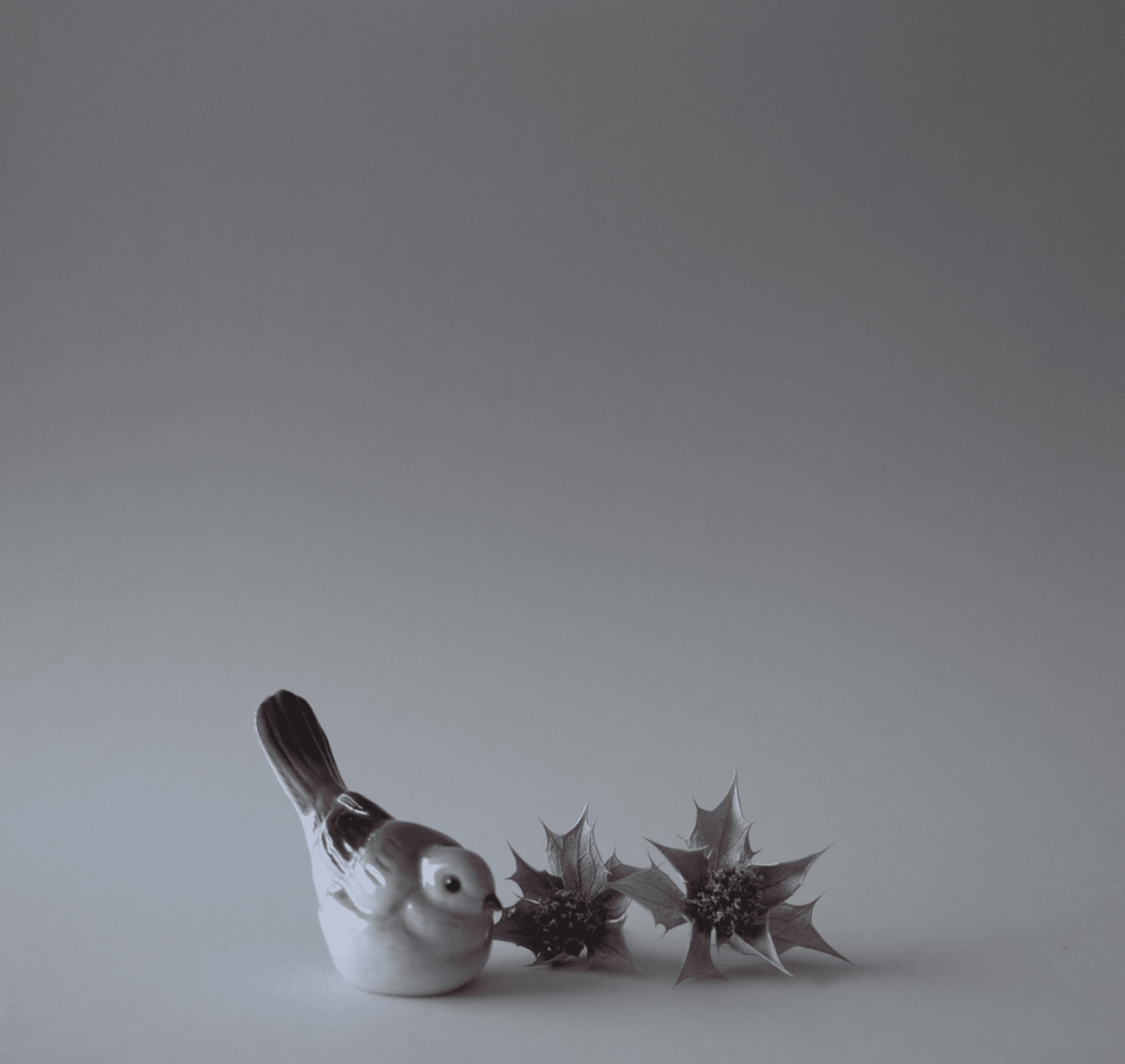 Lille Porcelænsfugl 2