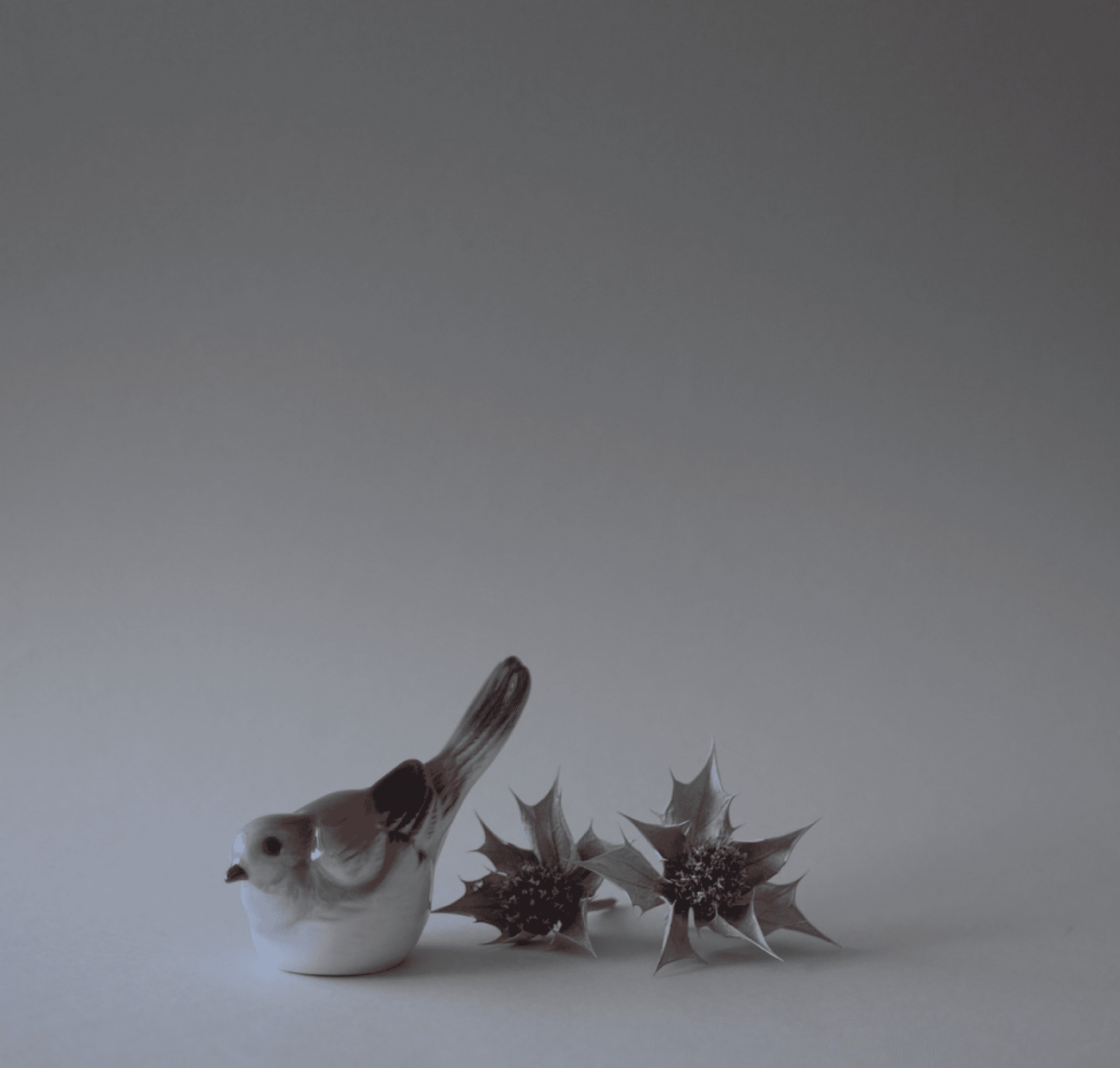 Lille Porcelænsfugl 4