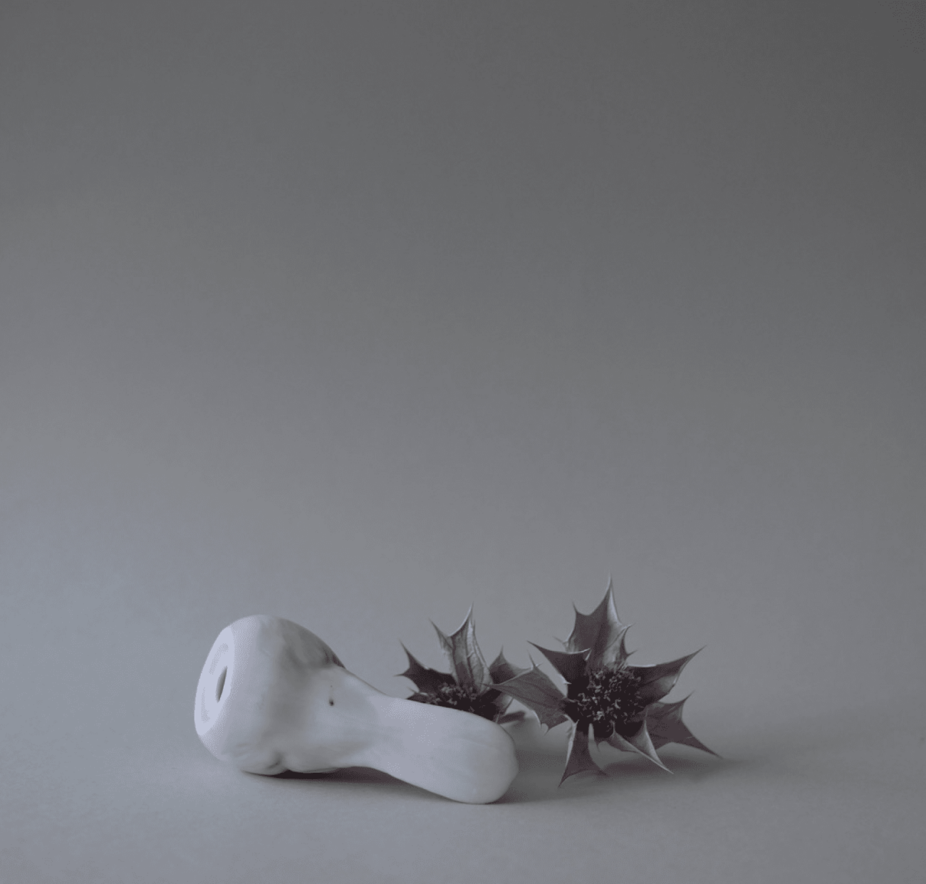 Lille Porcelænsfugl 6