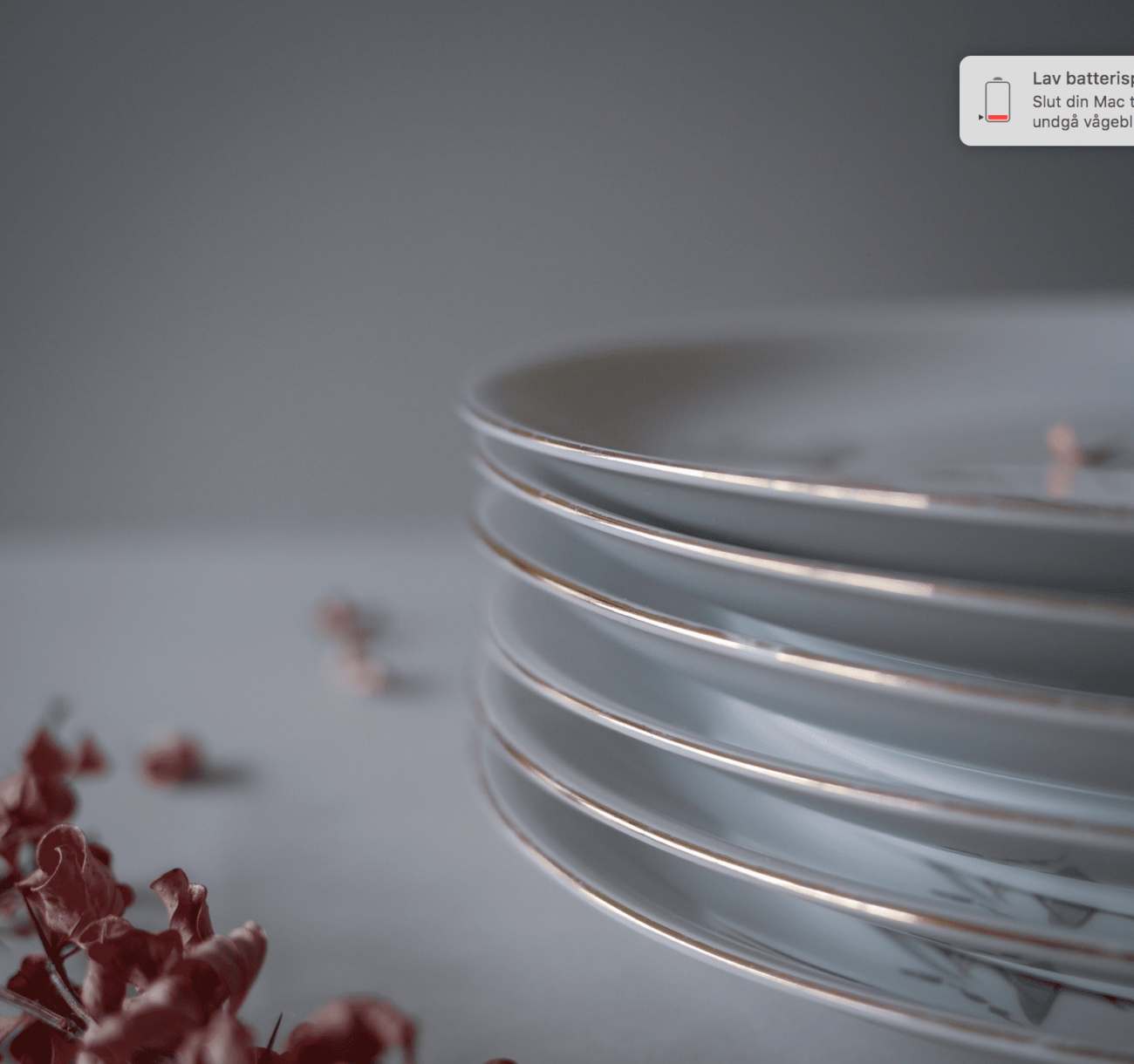 Blomstrede frokosttallerkner, 6 stk. 4